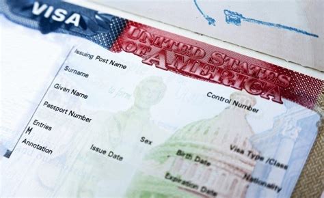 amerika vizesi türleri ve şartları