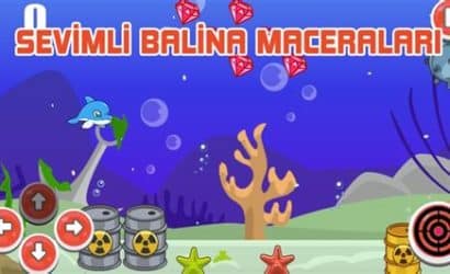 rusya'da balina gözlemi maceraları