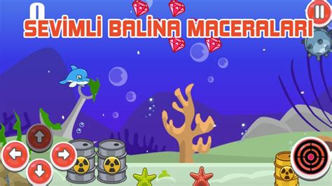 Rusya’da Balina Gözlemi Maceraları