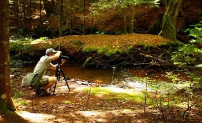 avrupa'da doğa fotoğrafçılığı i̇çin i̇deal noktalar