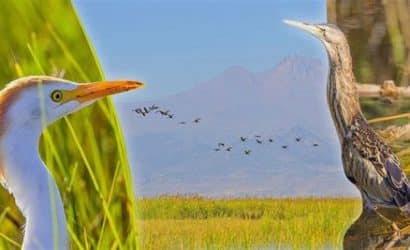 gezginlerin gerçek cenneti: unesco dünya mirası siteleri ve asya'daki en i̇yi örnekleri