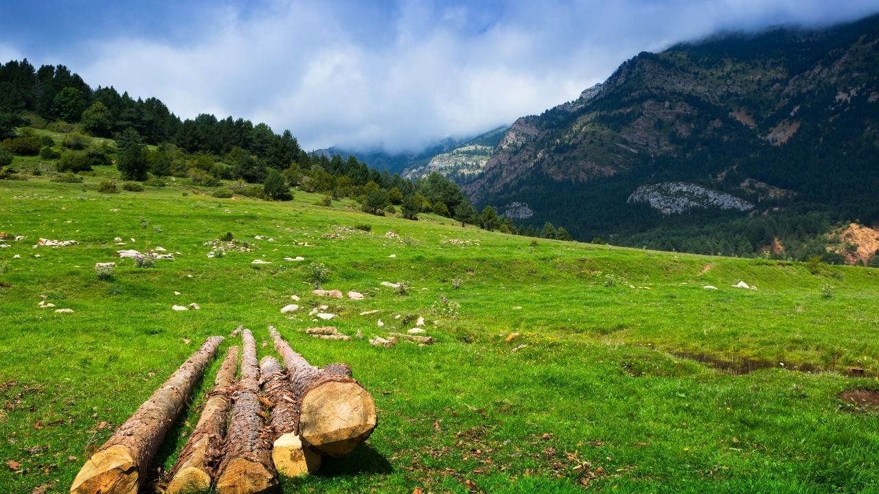 Ayder Yaylası Nerededir