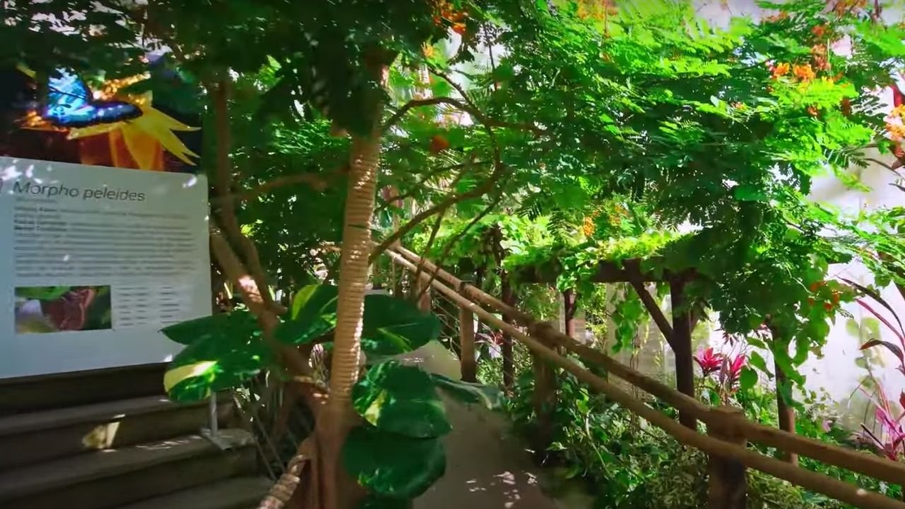 Kelebek Vadisi Konya