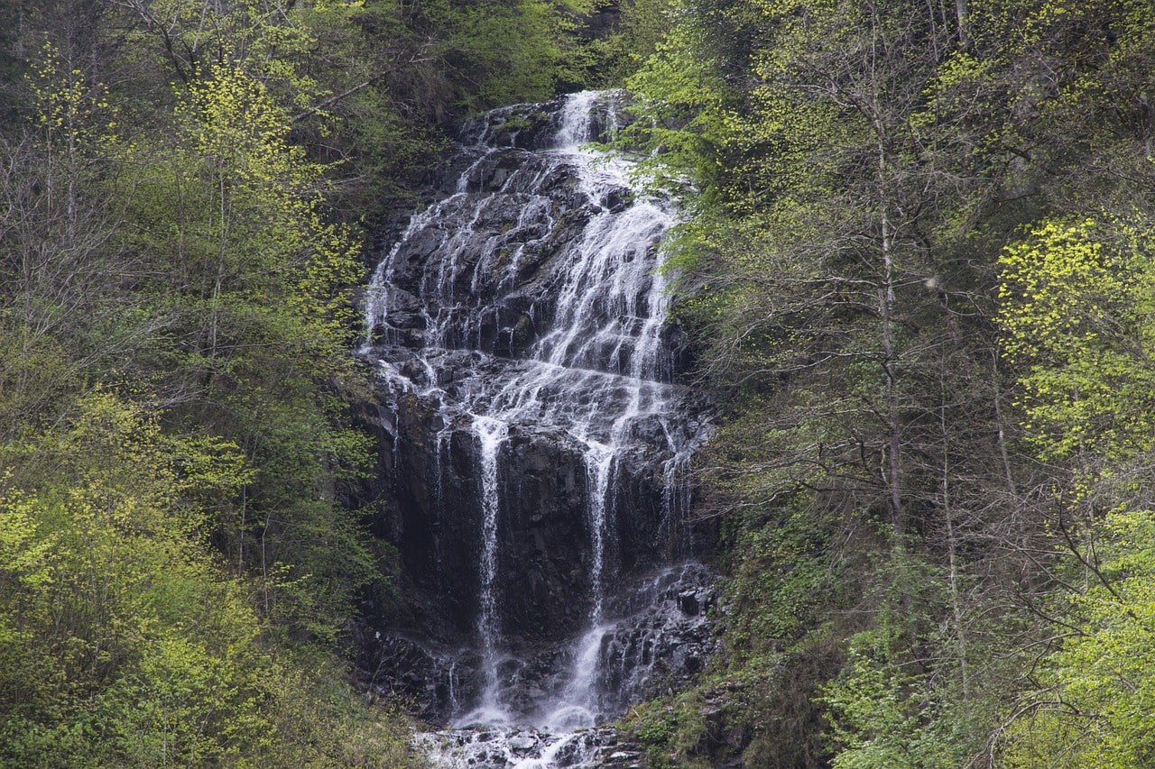 karadeniz-gezisi