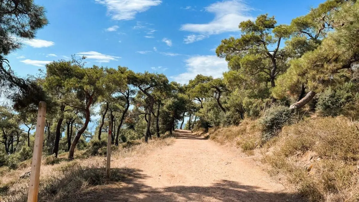 Büyükada tabiat parkı