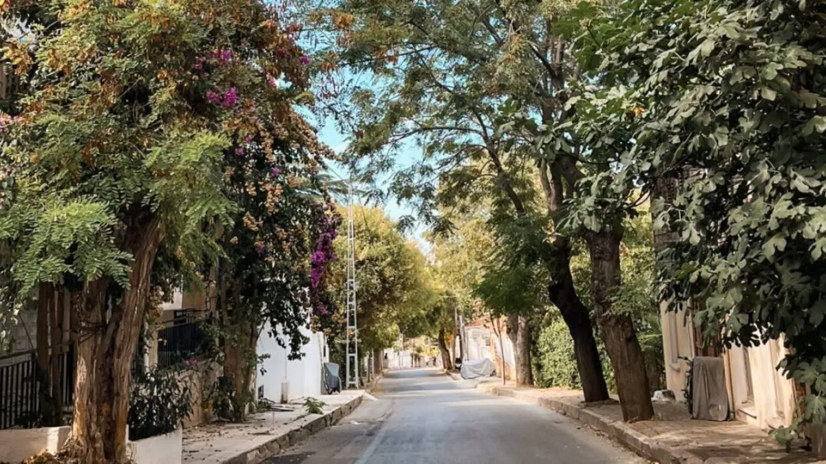 Büyük Ada Gezilecek Yerler